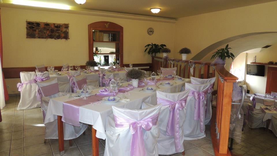Zamecky Hotel Zlaty Orel Hranice  Buitenkant foto